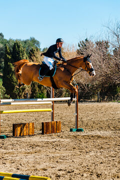 Side view of a horse rider jumping a hurdle