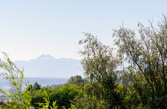 Panoramic view of the Olympic Mountain Range across from Seattle and partial view of a Seattle neighborhood with a lot of trees.