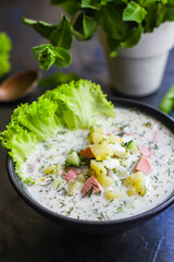 cold soup vegetables greens okroshka second course food background top view copy space for text organic eating healthy keto or paleo diet raw 