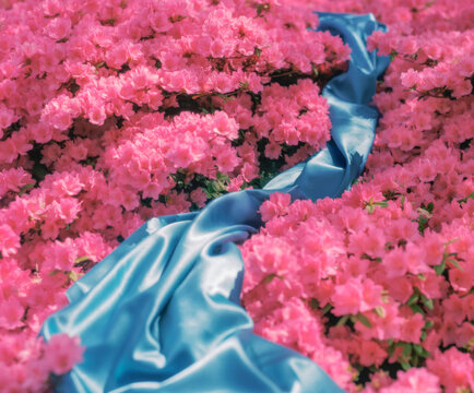 Azalea Flowers and Blue Silk River