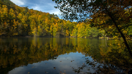 Obraz premium Yedigoller National Park (untouched nature) in Bolu Turkey