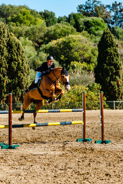 Side view of a horse rider jumping a hurdle