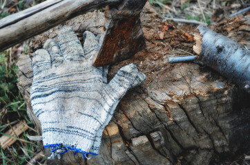 Obraz premium An axe with a glove on the stump. Sawing trees for fuel