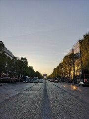 Avenue des Champs-&Eacute;lys&eacute;es