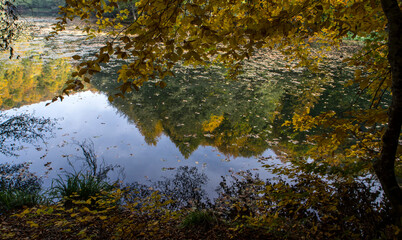 Yedigoller National Park (untouched nature) in Bolu Turkey