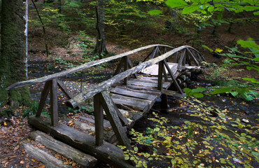 Yedigoller National Park (untouched nature) in Bolu Turkey