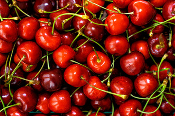 Red cherries in full screen. The texture of cherries.