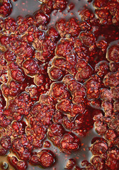 Garden raspberry jam. Background