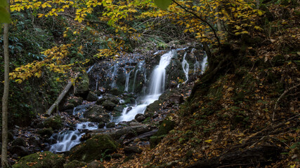 Yedigoller National Park (untouched nature) in Bolu Turkey