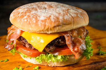 Tasty burger on rustic background

