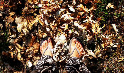 woman's feets on the dry leaves top view