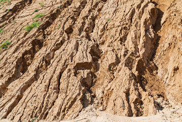 Detail Of Dry Ground On The Desert - Texture / Pattern