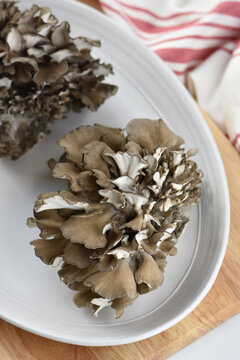Hen of the woods mushrooms, also known as maitake, ram's head and sheep's head mushrooms