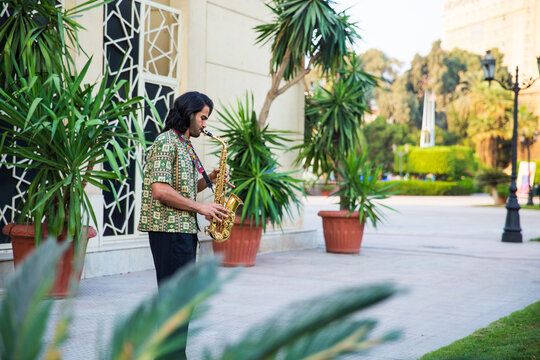 Working Musician
