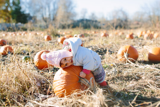Little girl in a pumpkin farm