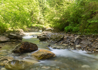 Naklejka na ściany i meble Endless stream. Picturesque fast mountain river