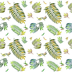Watercolor colorful pattern with palm leaves. White background.