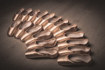 Ballet Shoes - 369119361