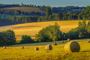Paysage campagne 704