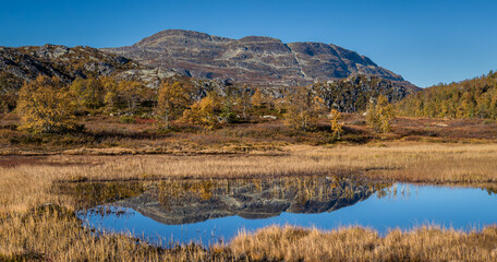 Mountain reflection