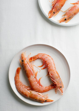 Fresh prawns
