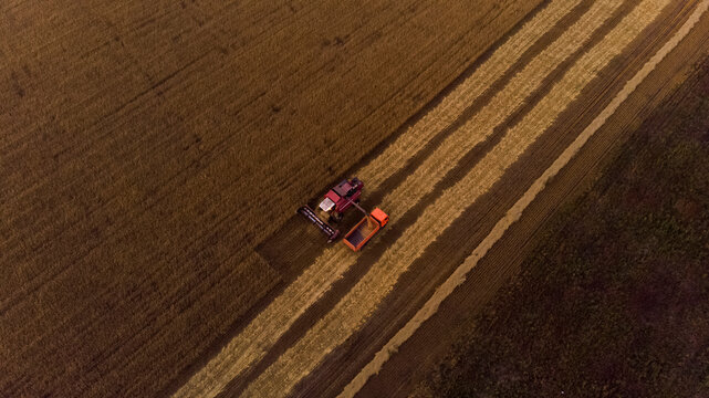 Agricultural machines harvesting crop in field