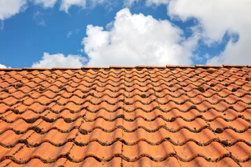 roof with moss-grown shingles against the sky