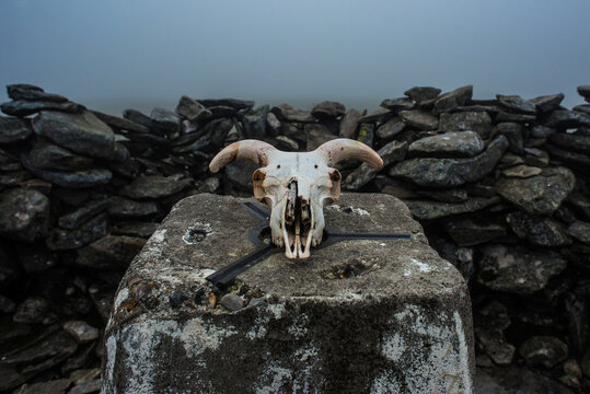 Ram's skull on mountain summit stone