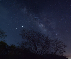 via lactea