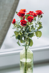 a bouquet of miniature red roses in a vase