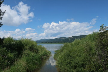 Nature and environment in the Tetons, Wyoming