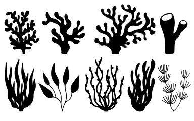 Vector set of corals and seaweeds silhouettes. Underwater coral reef and sea kelp in hand drawn doodle style. Marine aquarium plants illustration.