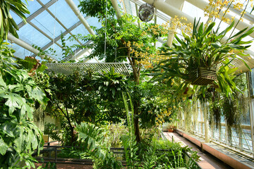 Brooklyn, NY, USA - June 27, 2019: Brooklyn Botanical Garden