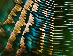 Spider's web abstract