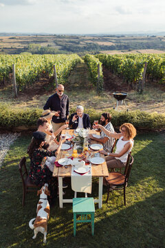 Family Toast In The Vineyards