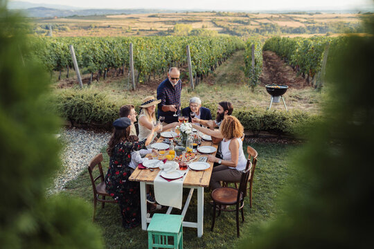 Family Lunch In The Vineyards