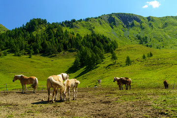 Mountain landscape along the road to Crocedomini pass