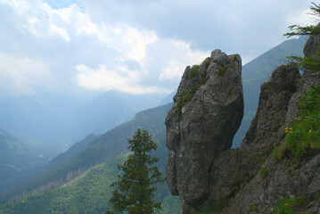 Obraz premium Landscape of Polish Tatra Mountains in summer 
