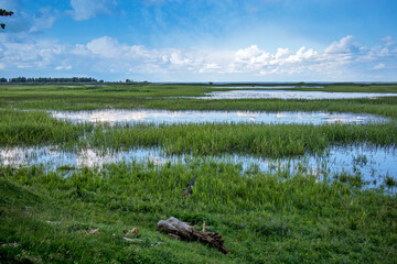 Rybinsk reservoir on the site of Vesyegonsk - the northernmost city of the Tver region,