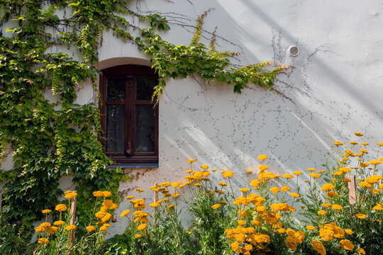 Cottage house in the village of Tarcal