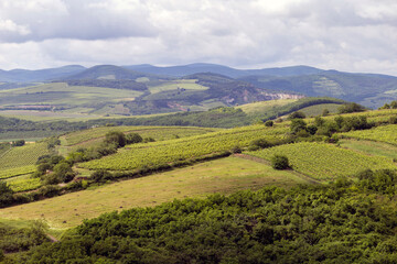 Obraz premium Zemplen mountains view from the Blessing Christ Statue in Tarcal