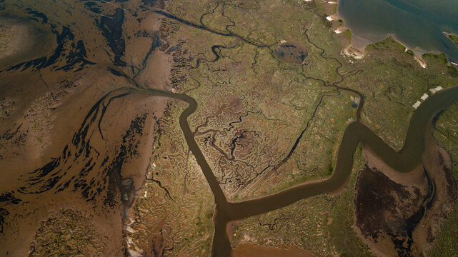 wet lands in Italy - sea coast line