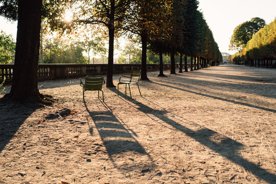 Chairs in Jardin des Tuileries