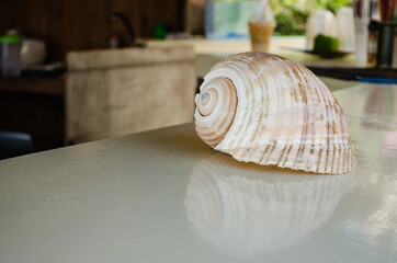 Evia island, Greece - June 28. 2020: Decorative details on a reed sled on the beach of the island of Lihada-Greece 