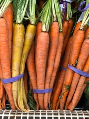 Close up view of bunches of ripe carrots on display at a local market
