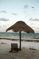 Vertical photo. Paradise. View of the tropical beach at sunset. A bird flying, the sun umbrella, beach bed, white sand shore and ocean waves in the background.