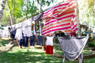 Domestic real life scene of many children and adult fresh clean washed clothes hanged on birch tree clothesline with pins. Home yard on bright sunny summer day outdoors. Lifestyle backyard garden