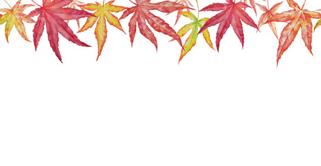 Horizontal Seamless background with autumn leaves of japanese maple