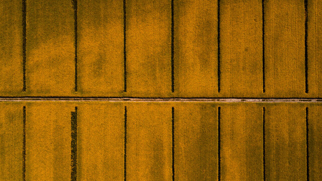 Drone shot of a gravel road in the fields of Rape
