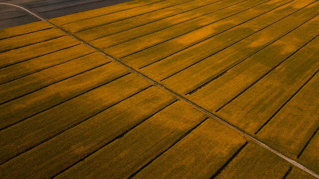 Drone shot of a gravel road in the fields of Rape